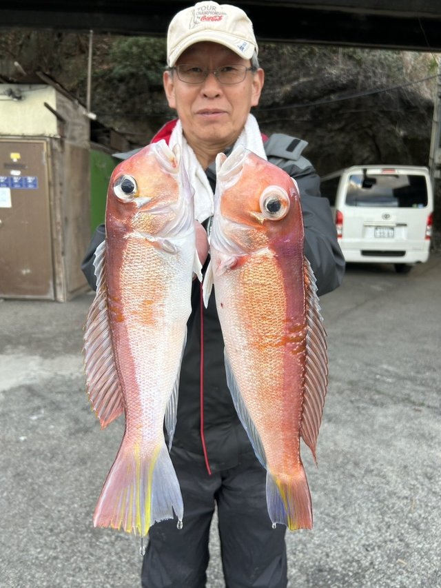 アマダイ(アカアマダイ)