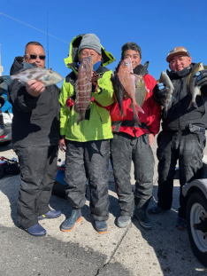 マダイ・メジナ・マハタ・イサキ・ウマヅラハギ