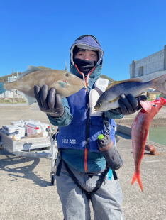 イサキ・ウマヅラハギ