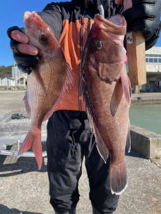 マダイ・マハタ