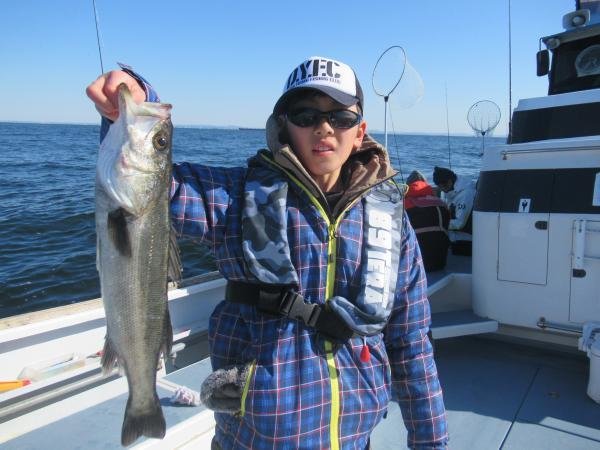 シーバス(スズキ)