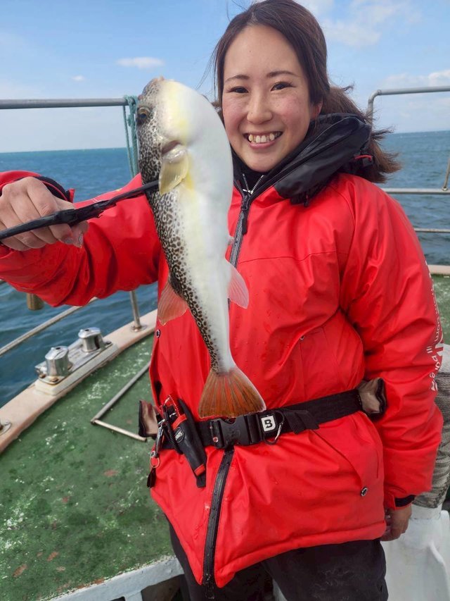 ショウサイフグ