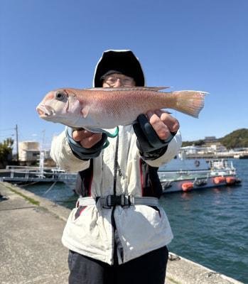 シロアマダイ
