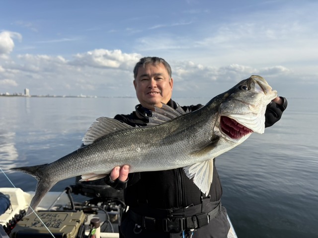 シーバス(スズキ)