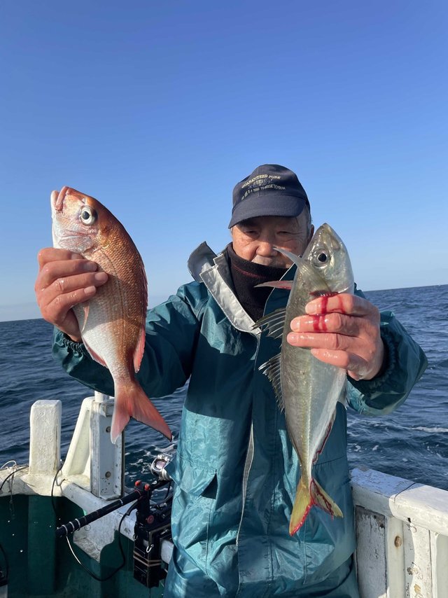 マダイ・マアジ