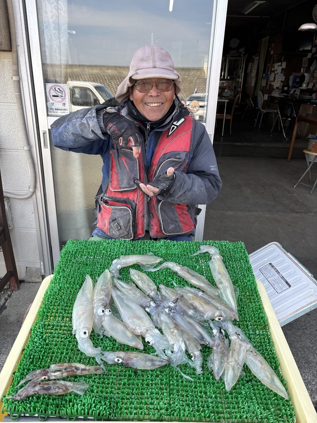 マルイカ(ケンサキイカ)