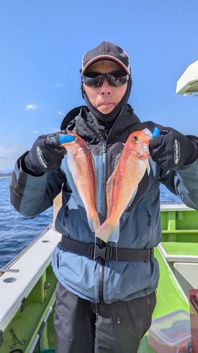 アマダイ(アカアマダイ)