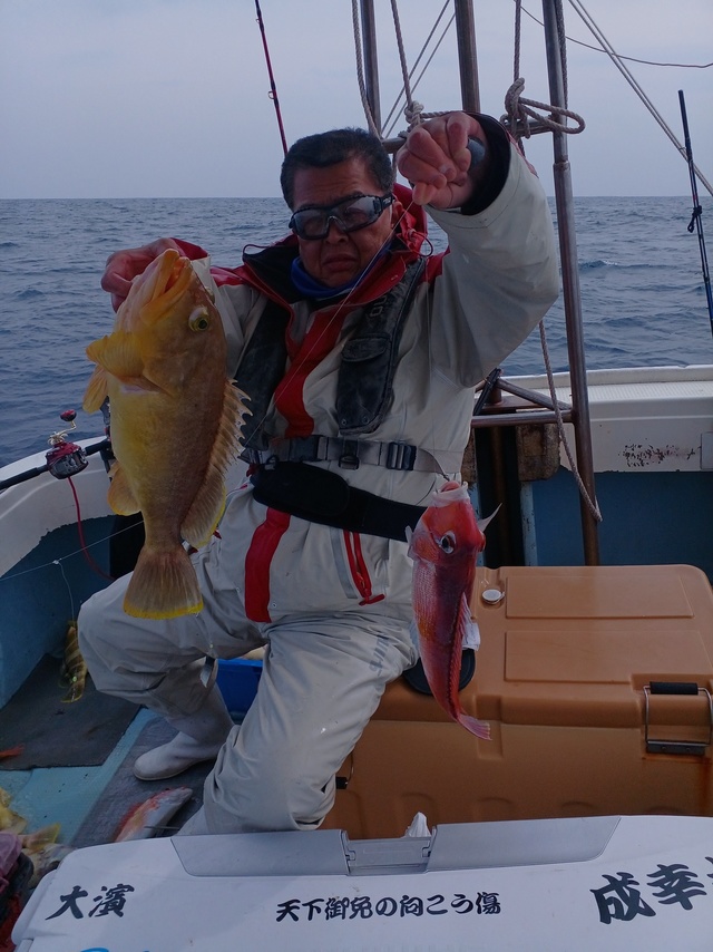 アオナ(アオハタ)・アマダイ(アカアマダイ)