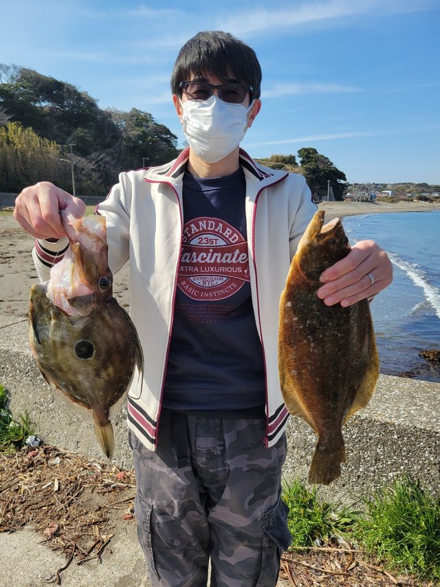 ヒラメ・マトウダイ