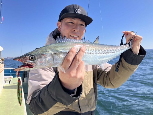 サゴシ(サワラ)