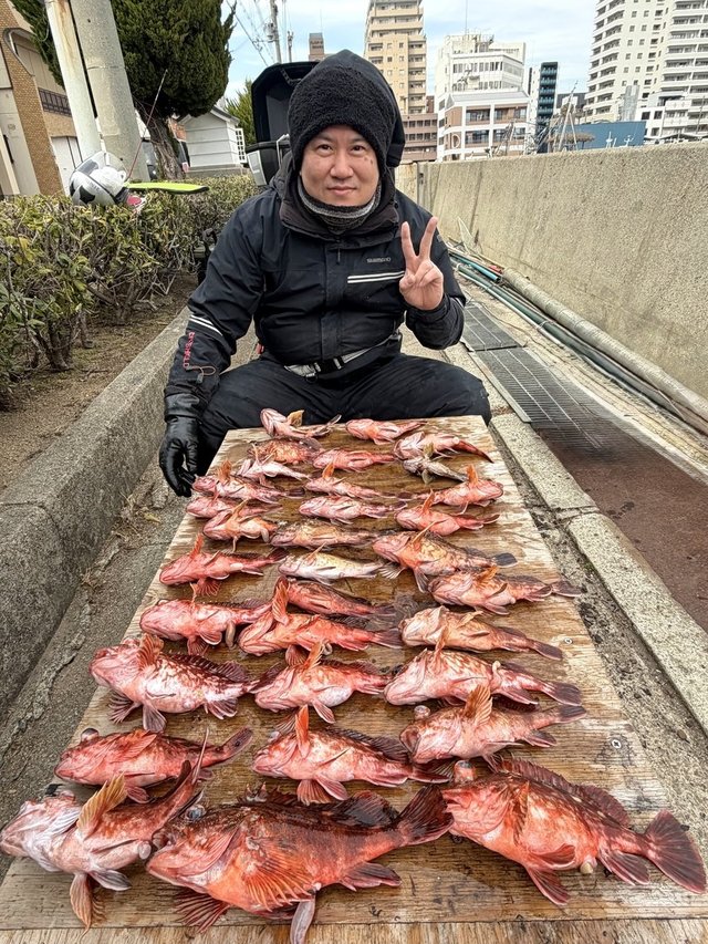 ガシラ(カサゴ)