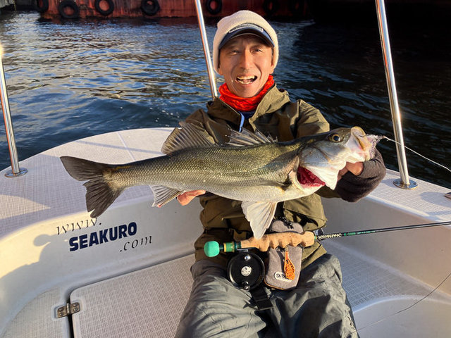 シーバス(スズキ)