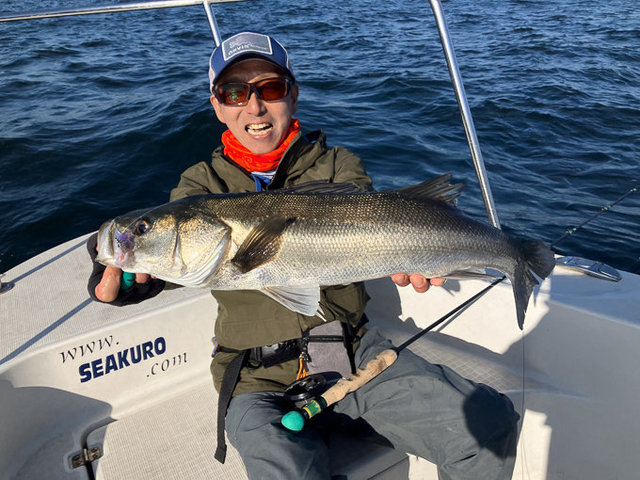 シーバス(スズキ)