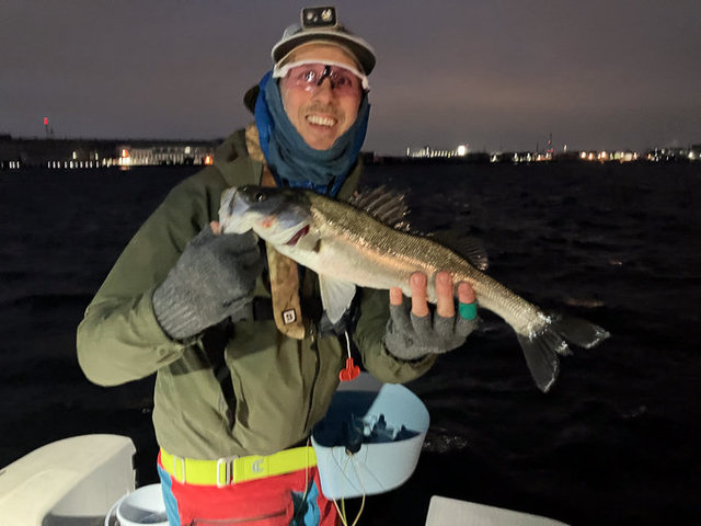 シーバス(スズキ)