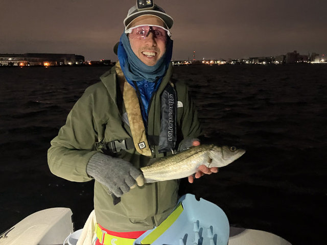 シーバス(スズキ)