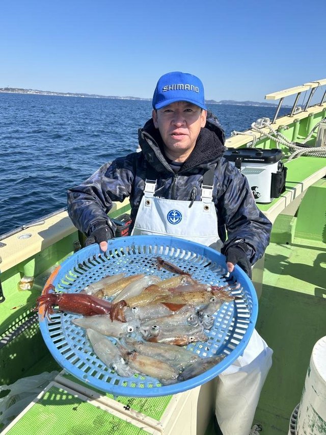 マルイカ(ケンサキイカ)