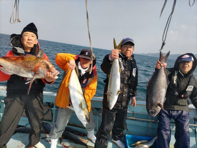 マダイ・メジロ(ブリ)・メダイ