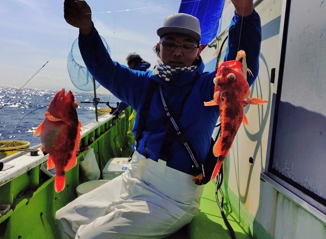 カンコ(ウッカリカサゴ)