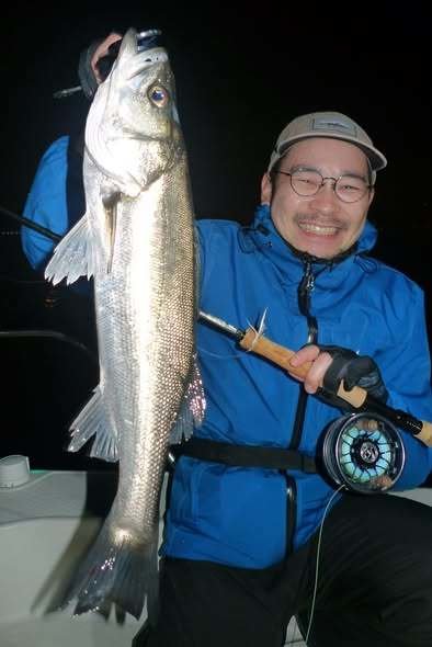 シーバス(スズキ)