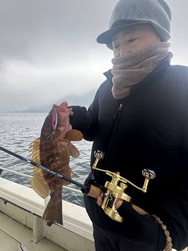 アコウ(キジハタ)