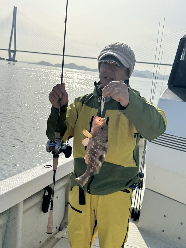 アコウ(キジハタ)