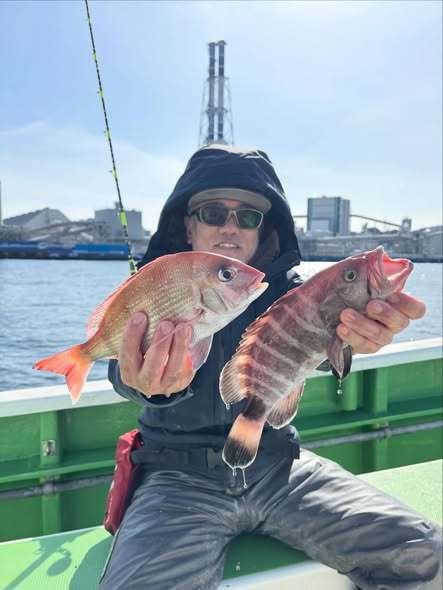 マダイ・ハタ(マハタ)