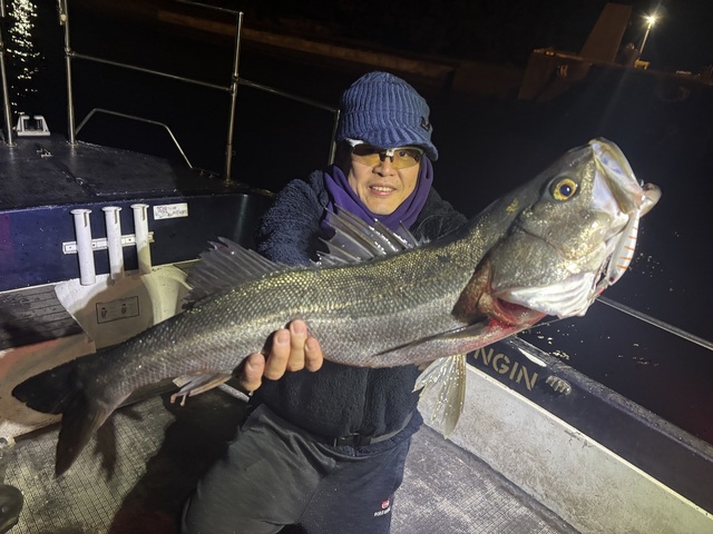 シーバス(スズキ)