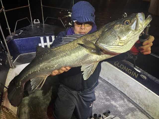 シーバス(スズキ)