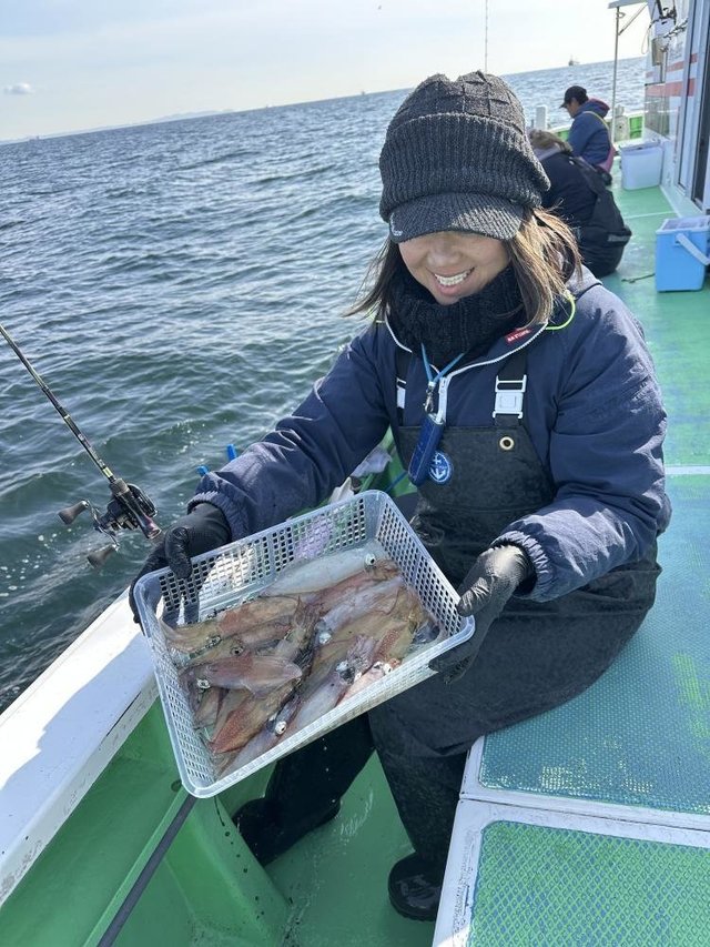 マルイカ(ケンサキイカ)