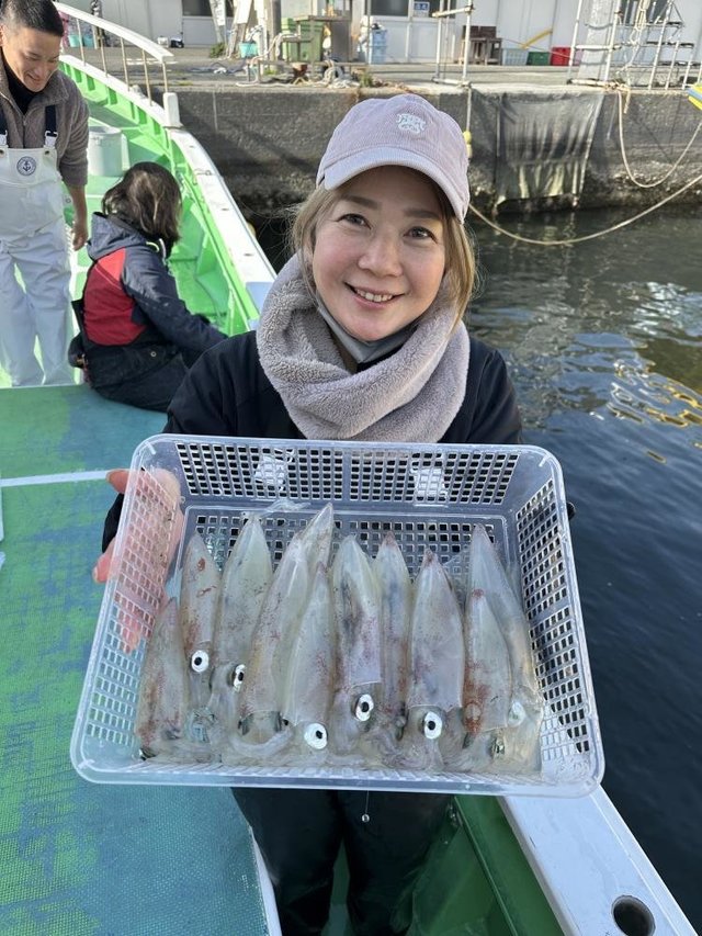 マルイカ(ケンサキイカ)