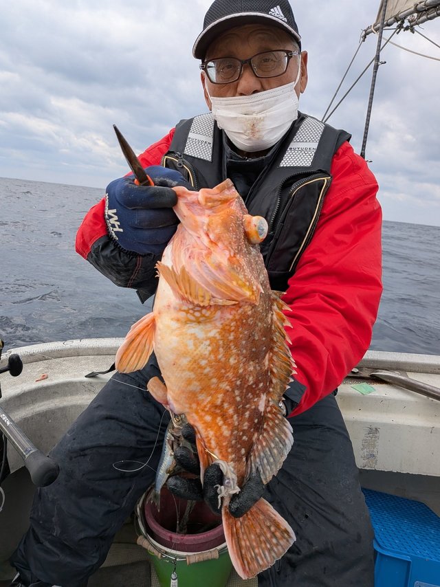 アラカブ(カサゴ)