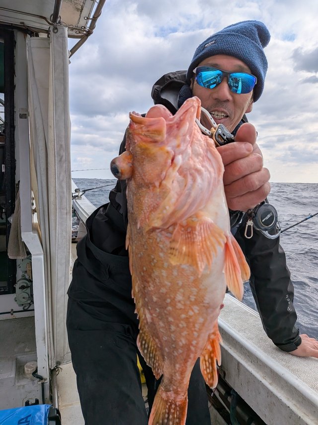 アラカブ(カサゴ)