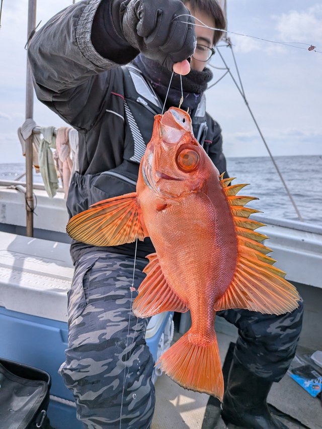 チカメキントキ