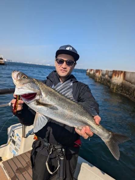 シーバス(スズキ)