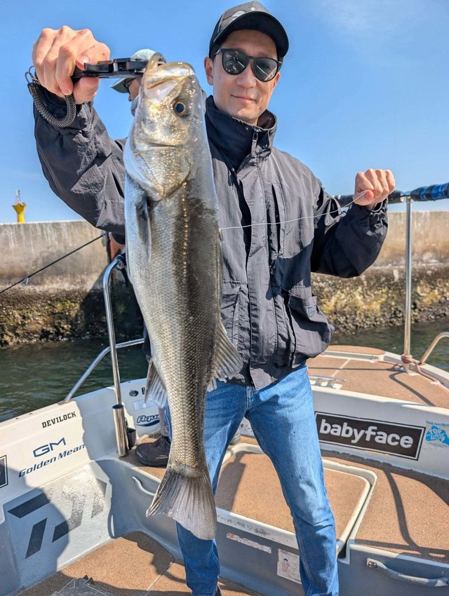 シーバス(スズキ)