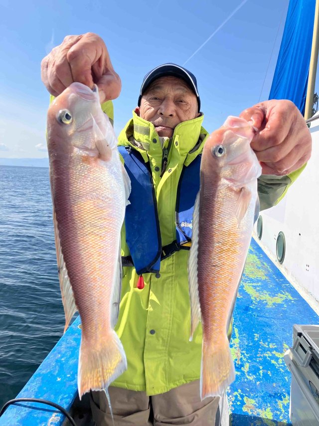 アマダイ(アカアマダイ)