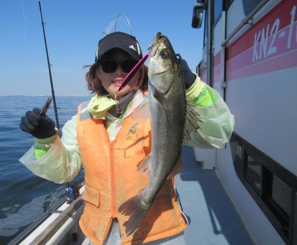 シーバス(スズキ)