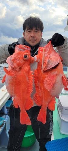 メヌケ(アコウダイ)