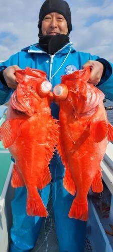 メヌケ(アコウダイ)