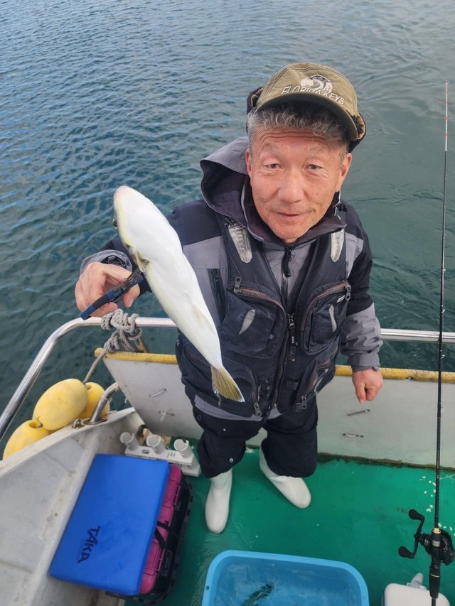 ショウサイフグ