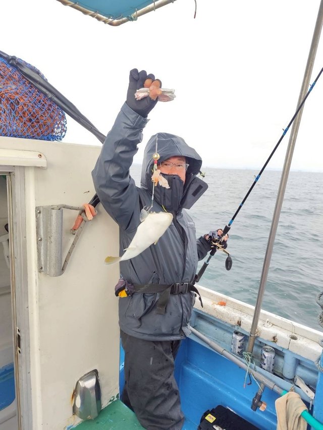 ショウサイフグ