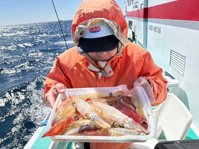 マルイカ(ケンサキイカ)