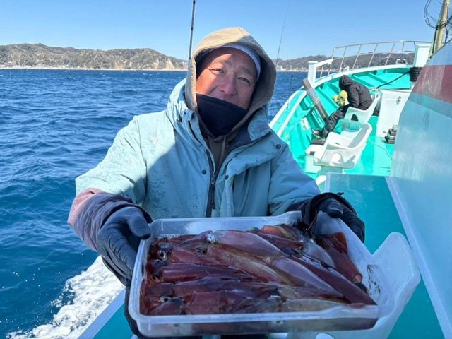 マルイカ(ケンサキイカ)