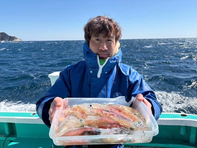 マルイカ(ケンサキイカ)