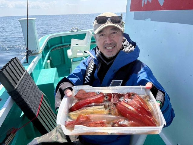 マルイカ(ケンサキイカ)