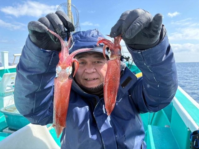 マルイカ(ケンサキイカ)