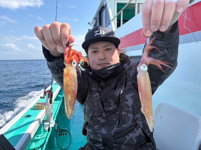 マルイカ(ケンサキイカ)