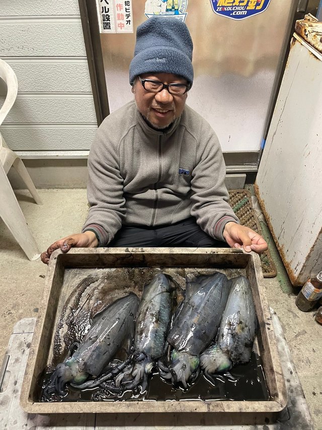 アオリイカ・マルイカ(ケンサキイカ)