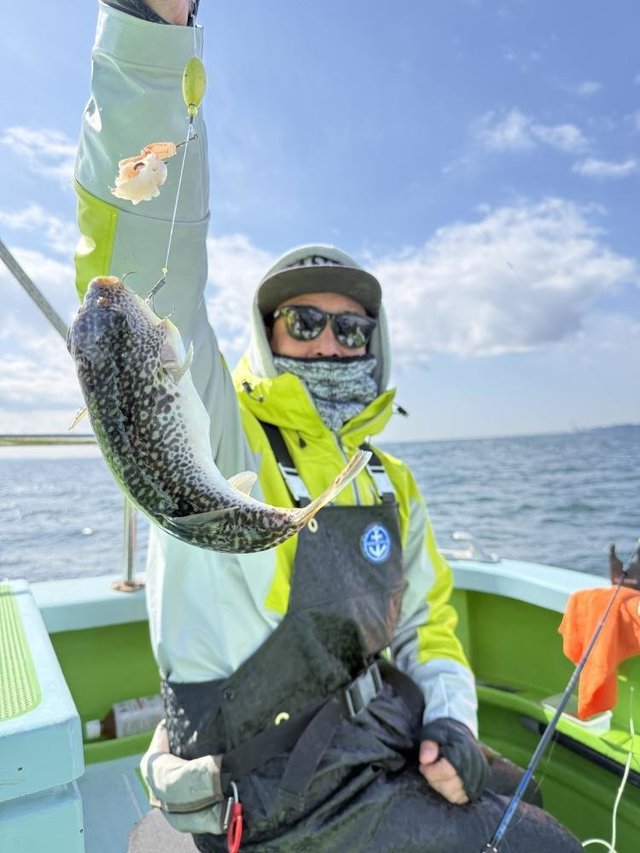 フグ(ショウサイフグ)