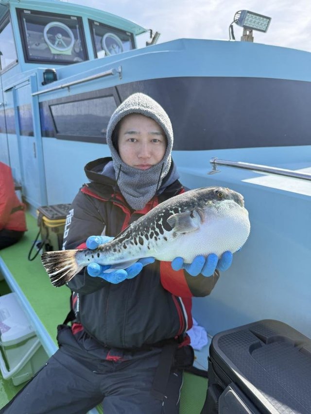 フグ(トラフグ)